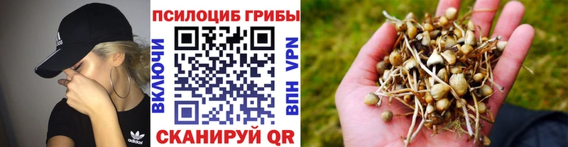 Галлюциногенные грибы прущие грибы  Купить закладки  Саратов 